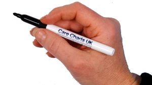 Dry wipe marker pen