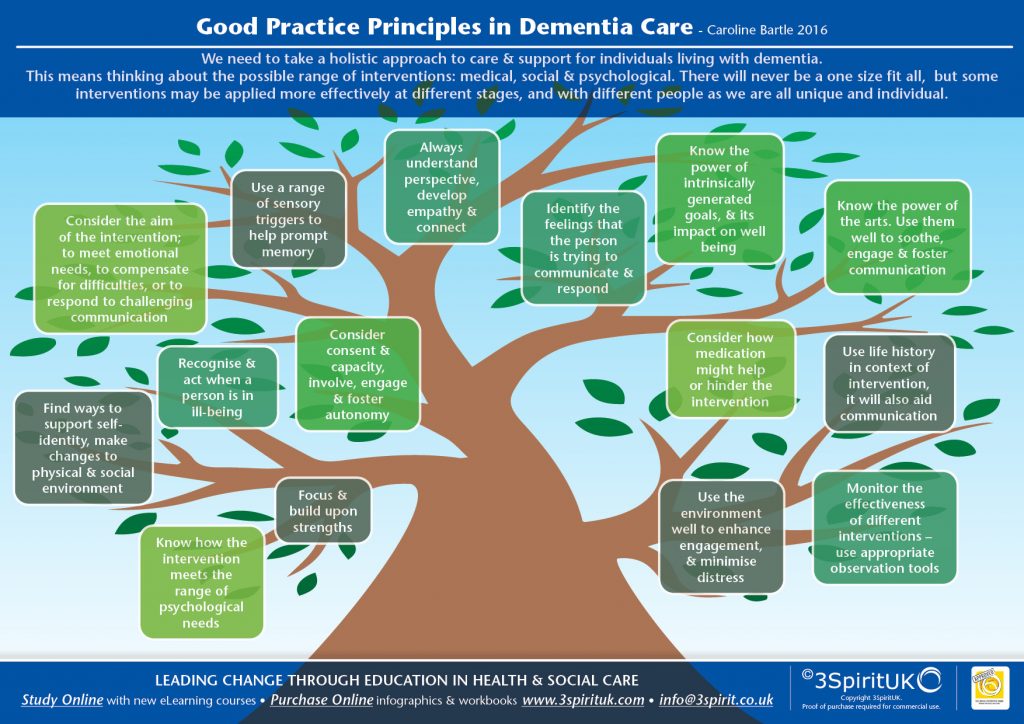 Good Practice Principles Infographic Poster - Mycarematters Trading